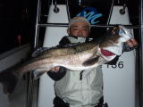 東京湾ランカーシーバス７７cm！（2010 1/30）