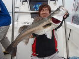 東京湾ランカーシーバス８２cm！（2010 11/22）