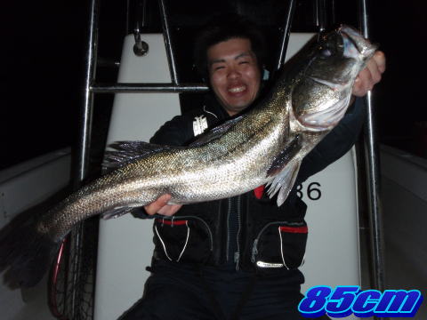 東京湾ランカーシーバス８５cm！（初のシーバスフィッシングにて…ゲスト様自己最高記録魚！）