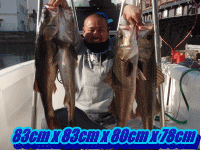 東京湾シーバス８３cm、８３cm、８０cm、７８cmキャッチ！（大型狙いに絞って全部自己記録魚で〜す＾＾）