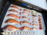 東京湾　鯛ラバ　キャスラバ　乗っ込み真鯛　真鯛　大鯛　4.5キロ、4.05キロ、2.7キロ…（2021　5/28）